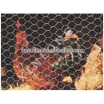 galvanized mesh for chicken coop/ Hexagonal chicken cage